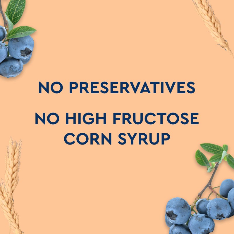 Duncan Hines Simple Mornings Blueberry Streusel Premium Muffin Mix, 20.5