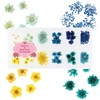 Princessstyle Nail & Resin Parts, Dried Flower Parts (Summer Color