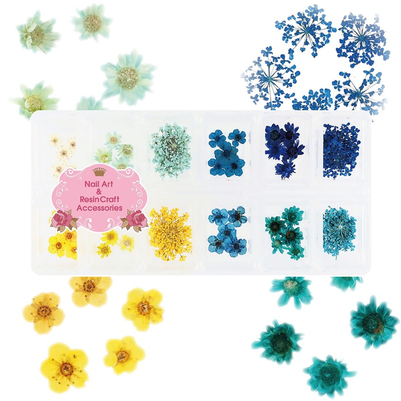 Princessstyle Nail & Resin Parts, Dried Flower Parts (Summer Color