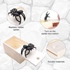 Spider Prank Box Spider Prank Box Spider Prank Box Spider