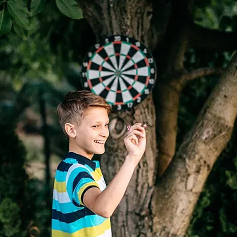 Cork Dartboard, Includes 4 Darts Metal Tip, Professional Number Ring