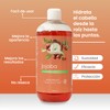 Shampoo Con Aceite De Jojoba Regenerador Productos Mart Mexico 500