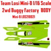 1 RC RACING TEAM LOSI MINI-B LOS210021 2WD BUGGY RYBI18V