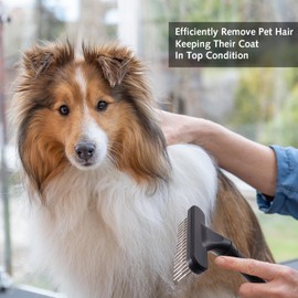 1 pcs Carpet Rake, Portable Carpet Rake Pile Lift, Undercoat Rake Dog, Pet Hair Remover for Carpet Fluffy and Soft Again, Dog Grooming Comb, Short or Long Hair Double Row Stainless Steel pins