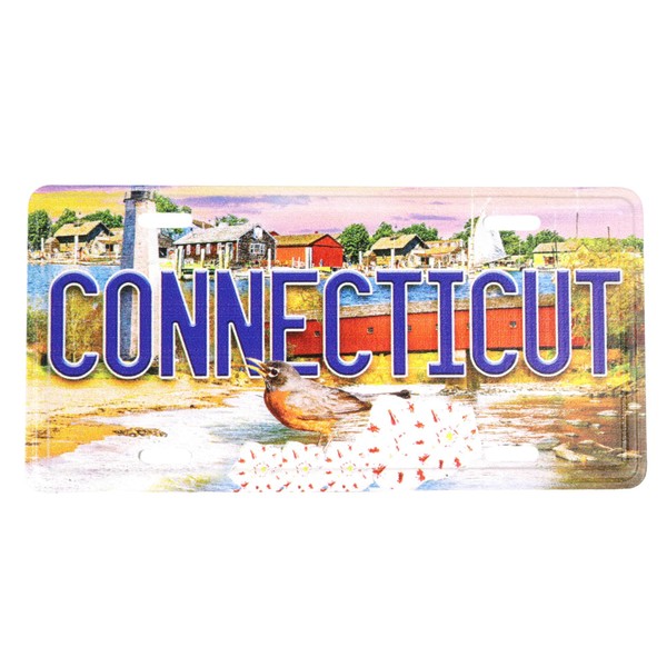Connecticut License Plate Magnet, Collectible Keepsake Souvenir, 3.4 x 1.75
