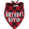 Birthday Boy Dog Bandana