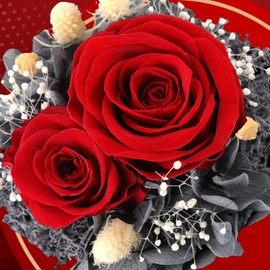 GIIFER Eternal Roses with I Love You Necklace, Eternal Flower Roses for Christmas, Valentine's Day, Mother's Day, Anniversary, Wedding, Birthday Gifts for Women, Mum, Wife, Girlfriend, Grandma - Red