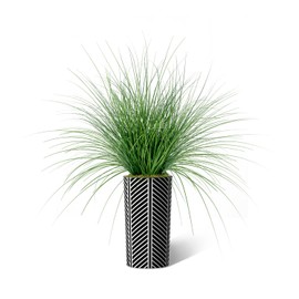 Artificial Tree in Black and White Striped Planter, Fake Onion Grass Silk Tree for Indoor and Outdoor Home Decoration - 55" Overall Tall (Plant Pot Plus Tree)