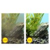 CIANO Aquarium Consumables - Pack of 3 Months S