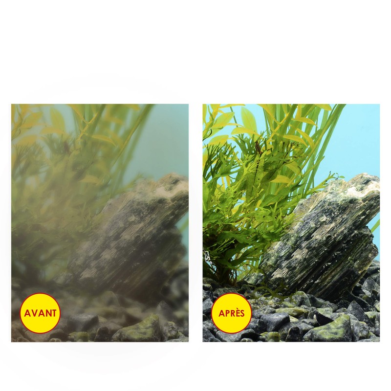 CIANO Aquarium Consumables - Pack of 3 Months S