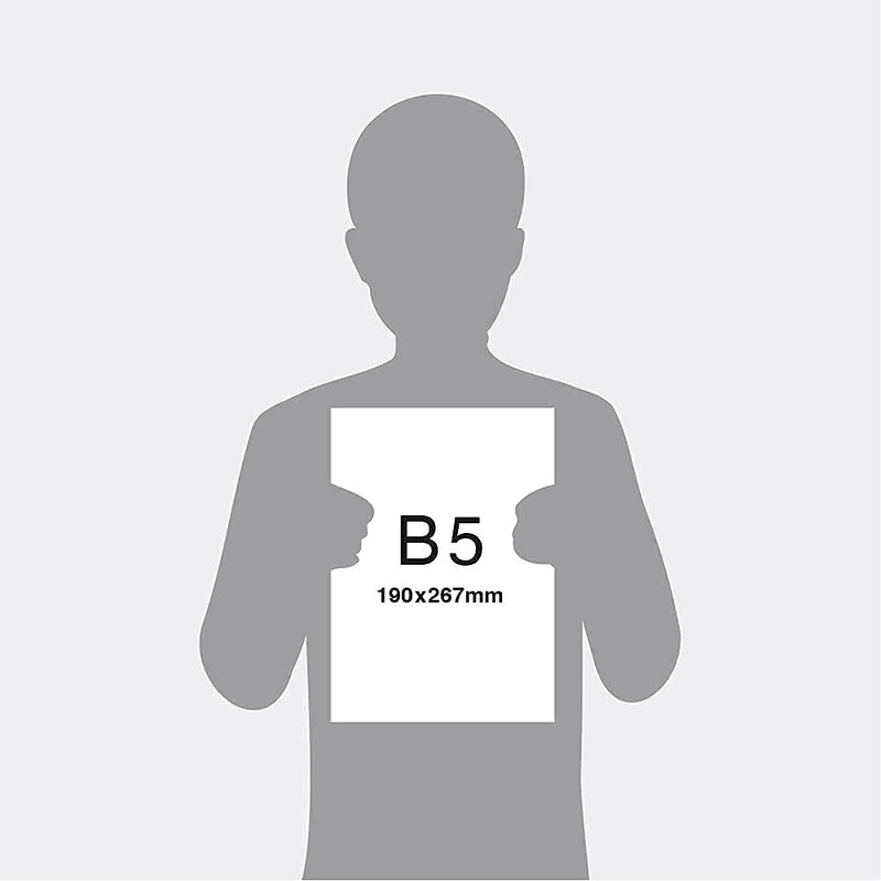 Toyo Shuppan Co., Ltd. 5 Years Diary (Beige)