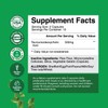 Advanced Bile Salt TUDCA Supplement - Extra Strength TUDCA 500mg