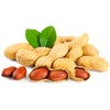 Seeds Spanish Peanut 10 Seeds to Grow Annual Warm-Season Plant