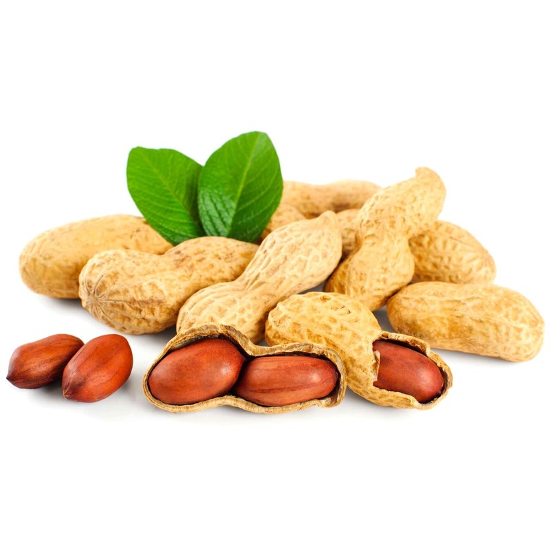 Seeds Spanish Peanut 10 Seeds to Grow Annual Warm-Season Plant