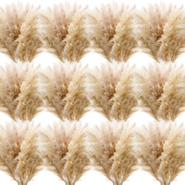 Tigeen 80 Pcs 40 Inch Pampas Grass Fluffy Tall Pampas Grass Natural Dried Pampas Grass Decor, Bouquet for Floor Vase, Wedding Floral Arrangements, Party, Farmhouse, Boho Home Decor