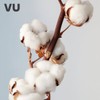 VIEW/Pure Cotton/Hypoallergenic/Embossing/Facial Cotton
