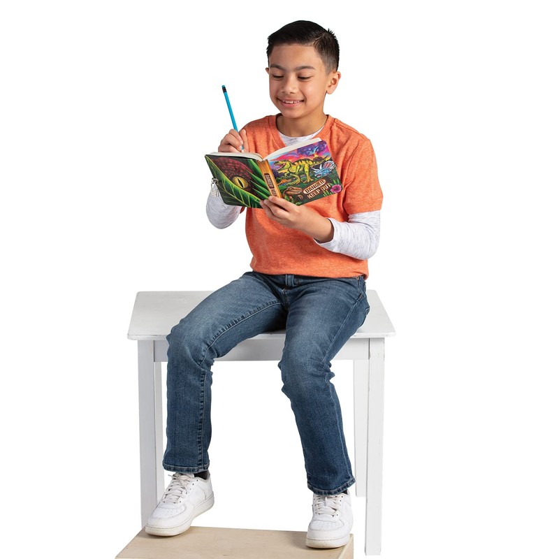 Peaceable Kingdom Kids Diary With Lock and Key Now with