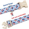 Faygarsle Patriotic Dog Collar, 4th of July Design, American Flag