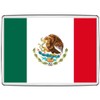 Pixly® Mexico Flag Fridge Magnet Large Jumbo Size Mexican Keepsake