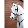 Y-H Hy Market Harborough-Black Cob/Full