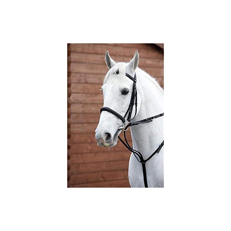Y-H Hy Market Harborough-Black Cob/Full