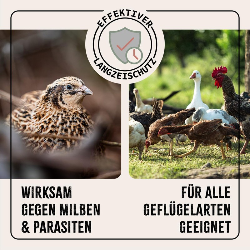 Aniforte® Mites in Practical Dust Bottle Stop Powder 1 Litre