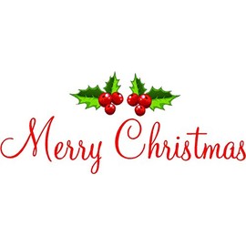 #2 Merry Christmas with Printed Mistletoes Red Vinyl Wall Decals Sayings Art Lettering