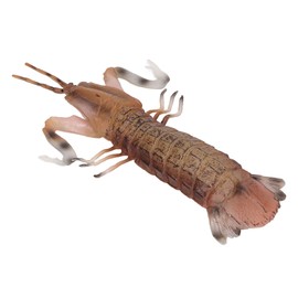Marine Animal Model, Mantis Shrimp Model Solid Vivid Simulation Shrimp Model for Children Toy Education Model Kids Toys