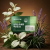 Vitamin Village GS 비타민마을 프리미엄 삼백초추출물 맥문동 정 60정 x