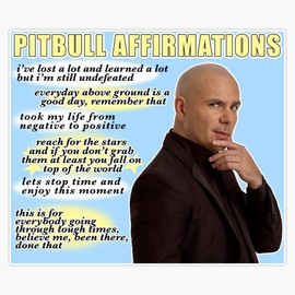 pitbull affirmations Bumper Sticker Vinyl Decal 5 inches