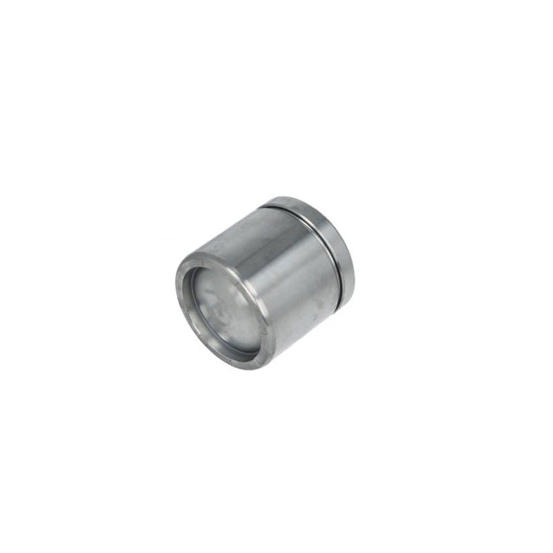 Autofren Seinsa D025107 Brake Caliper Piston