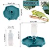 Hyran Turtle Water Dispenser, Turtle Water Bowl and Feeding Basin,