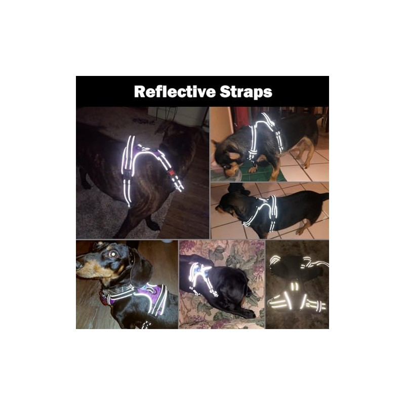 PHOEPET Arnés reflectante para perro, para razas grandes, ajustable, sin