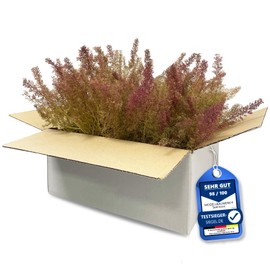 Sea Moss/Sea Foam | Bag Size 400 x 300 mm | > Oblong Growth < | Ideal for Model Building Forests | Architectural Model Building Trees Bushes Landscape & Dioramas | Cardboard 350 x 250 x 150 mm