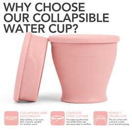 TakeToday Collapsible Travel Cup - Silicone Foldable Water Cup, BPA-Free with Lid & Waterproof Bag - Drinking Cup Set for Camping, Outdoors & International Travel（8 Oz, Lowcountry Peach）