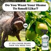 Pet-Pourri Pawsitively Fresh Pet Odor Deodorizer Spray, 16 Fl Oz,