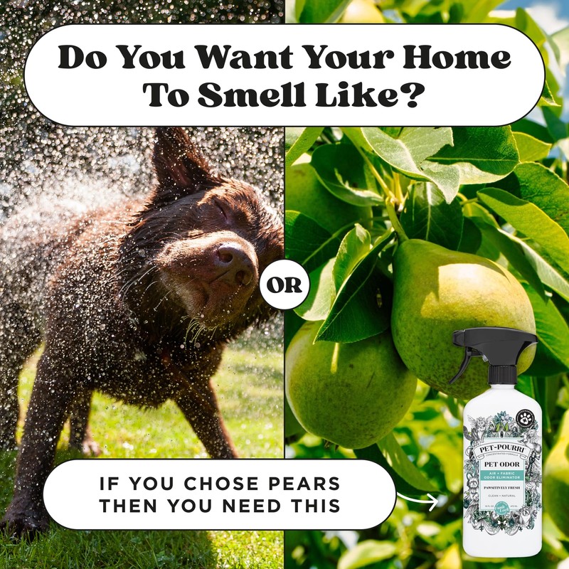 Pet-Pourri Pawsitively Fresh Pet Odor Deodorizer Spray, 16 Fl Oz,