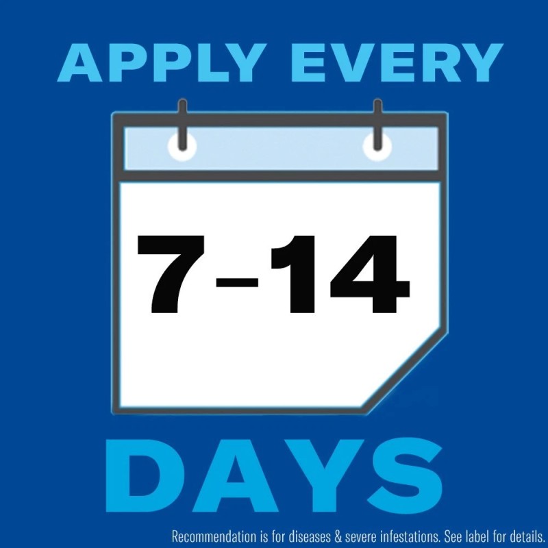 BioAdvanced Rose and Flower Insect Killer, Ready-to-Use, 24 oz