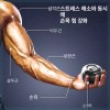 Gyroball 자이로볼 악력기 투수 훈련 금속 코어 저소음 키우기 [버지니아-오로라