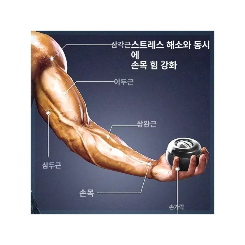 Gyroball 자이로볼 악력기 투수 훈련 금속 코어 저소음 키우기 [버지니아-오로라