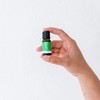 ECO. Modern Essentials Peppermint Pure Essential Oil, 10ml