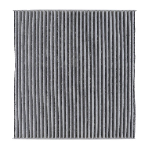 Rayten Cabin Air Filter with activated carbon Compatible with Maxima