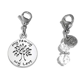 Hidden Hollow Beads Clip On Charm, Bag, Purse, Handbag, Message, Keychain, Zipper Pull, Bracelets, Necklaces, Jewelry (My Family My Love)