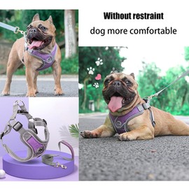 SKXEO Dog Harness Small Dog No Pull Dog Harness and Lead Set Adjustable Breathable Reflective Lightweight Pet Vest Harness Escape Proof Dog Harness Easy Control for Outdoor Walking Training