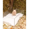 Niteangel Hamster Desert Bath Sand | No-Dust Bath or Potty