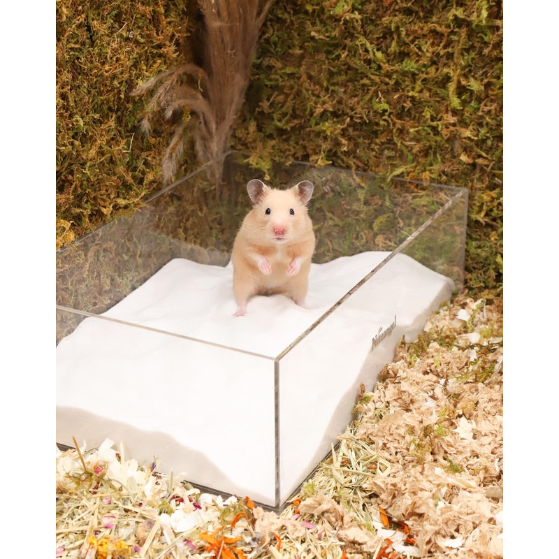 Niteangel Hamster Desert Bath Sand | No-Dust Bath or Potty