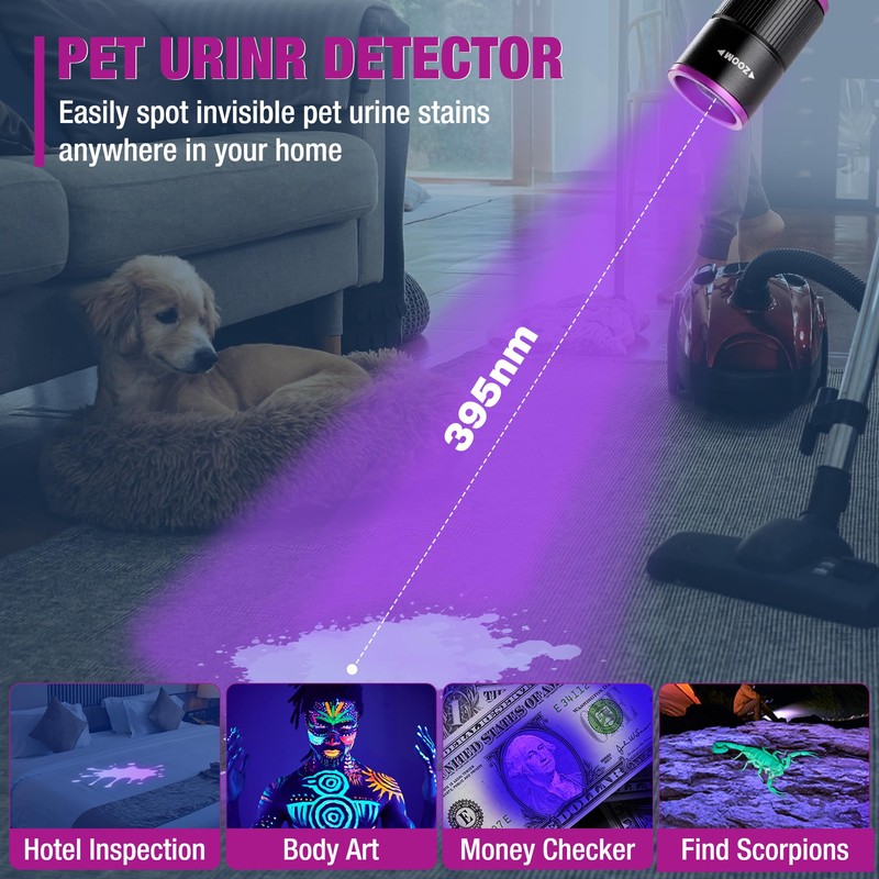 EverBrite Rechargeable Pen Flashlight with UV Light and White Light,