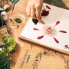 wisedry Flower Press Kit, Easy One-Step Pressing, Even Pressure, 6