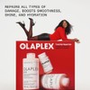 Olaplex Total Hair Repair Set