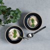 KINTO 25779 NORI Bowl, 4.7 inches (120 mm), White